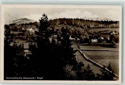 Kiesewald Riesengebirge