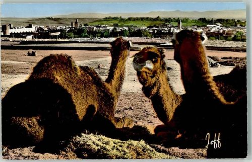 Fes Foto Jeff Kamele