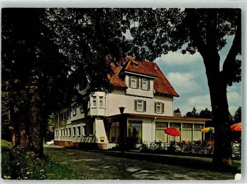 Zwieselberg Hotel Hirsch