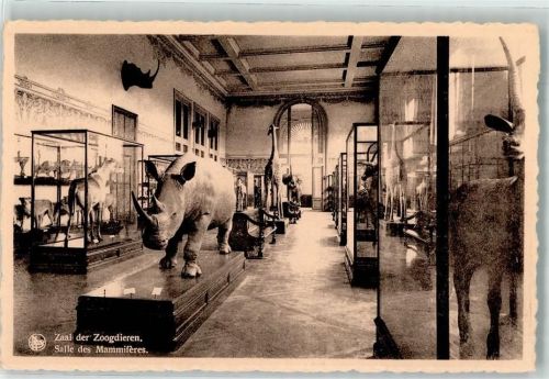 Tervuren Tervueren 1959 Gebrauchsspuren Museum Foto AK