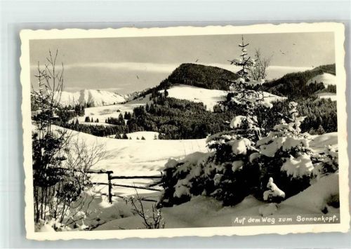 Bad Hindelang 1935 Weg zum Sonnenkopf im Schnee Fotograf Deidl