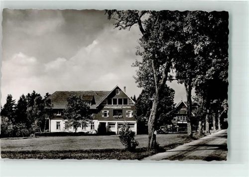 Zwieselberg Gasthaus Pension Auerhahn