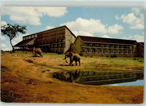 Ngulia Safari Lodge Tsavo National Park West Elefanten