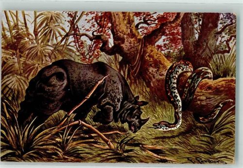 Nashorn Schlange Serie 682 Fauna II. Nr. 1