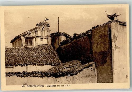 Constantine Storchennest