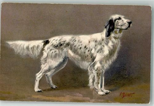 sign. Bivst Cocker Spaniel Verlag Stahl Nr.94