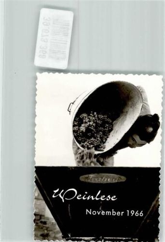 Waldböckelheim Weingut Dümmler Foto Original aus Archiv eines Ansichtskartenverlags
