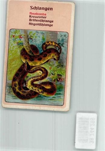 Sammelbild Anakonda Litho Schlange