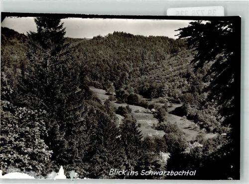 Eiershausen Schwarzbachtal Foto Original aus Archiv eines Ansichtskartenverlags Ort handschriftlich