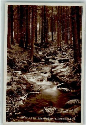Schellerhau