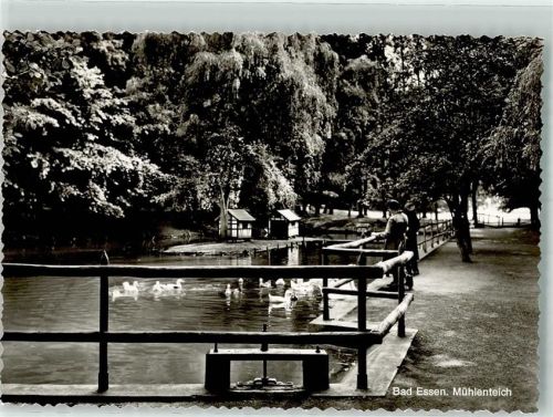 Bad Essen Mühlenteich mit Entenhäusern