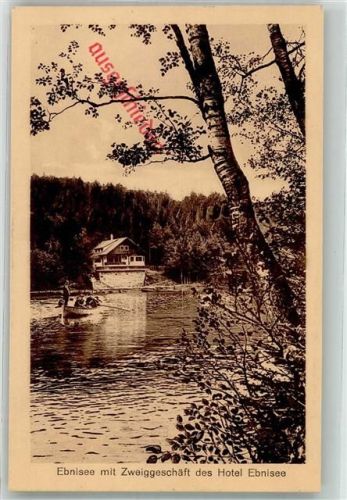 Ebnisee Mit Zweiggeschäft des Hotels