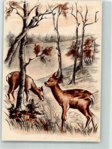 Rehe