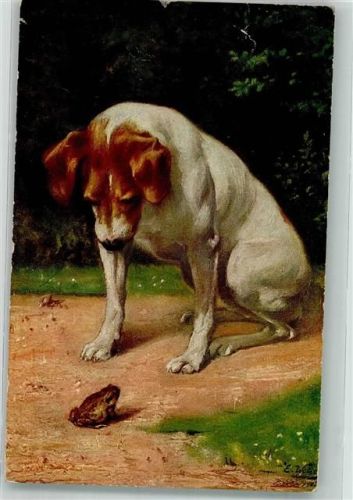 Hund : Wer bist Du denn