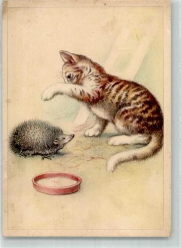 Katze mit stacheligem Spielkameraden Künstlerkarte Verlag E.A. Schwerdtfeger