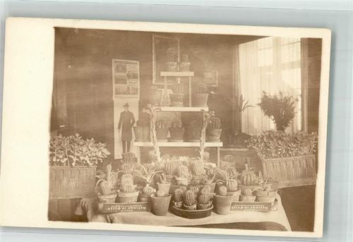 1930 Kleine Ausstellung im Haus