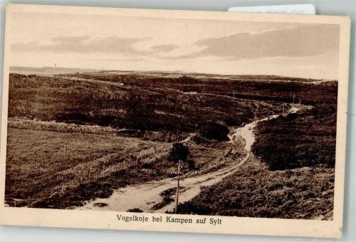 Kampen Vogelkoje Fotograf Ferd. Pförtner