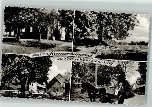 Hermersbergerhof Gasthaus im Pfälzer Wald Ponykutsche