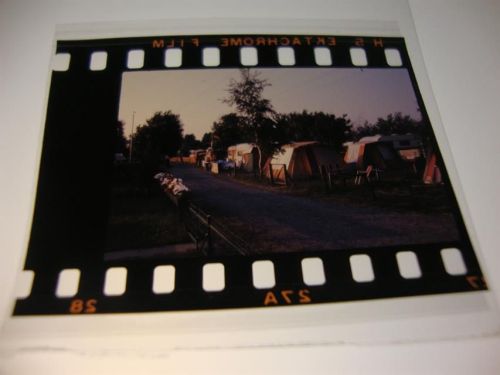 Berne Camping, Dia