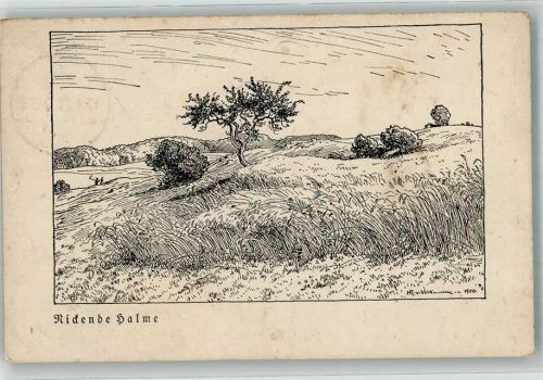 sign. Volkmann Nickende Halme Künstler 1921 Künstlerkarte