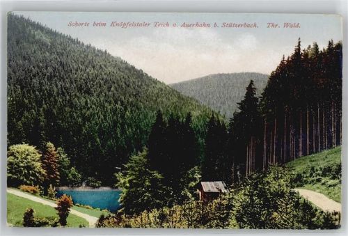 98714 O6316 Stützerbach - Schorte, Knöpfelstaler Teich