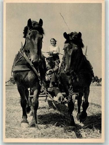 1925 - 1930 Bauernwagen Froher Landdienst Reichsstelle gegen Alkohol und Tabak