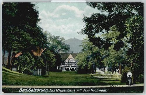 Bad Salzbrunn Szczawno-Zdroj - Das Wiesenhaus, Hochwald