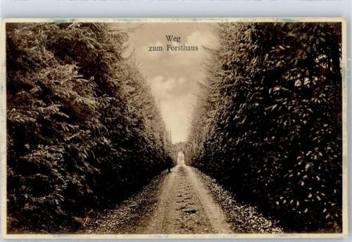 Roderbirken Weg zum Forsthaus