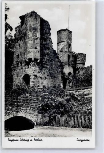 Dilsberg Burg