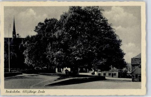 Bordesholm 600 jährige Linde