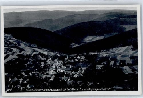 Waldkatzenbach Fliegeraufnahme