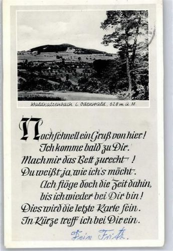 Waldkatzenbach