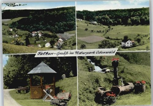 64711 W6124 Falken-Gesäß - Gasthaus Pension zum Schlawitzer