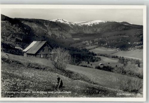 Bärental