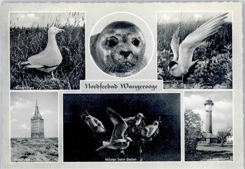 Wangerooge Leuchtturm