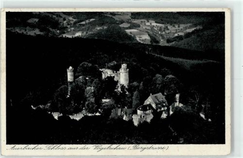 Auerbach Vogelschau Fliegeraufnahme Schloss AKU1