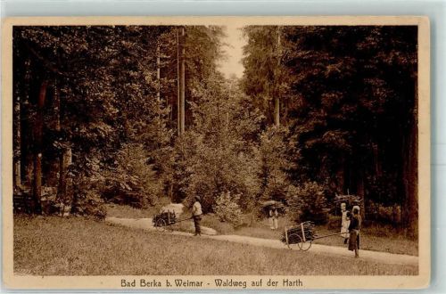 Bad Berka 1914 Waldweg auf der Harth