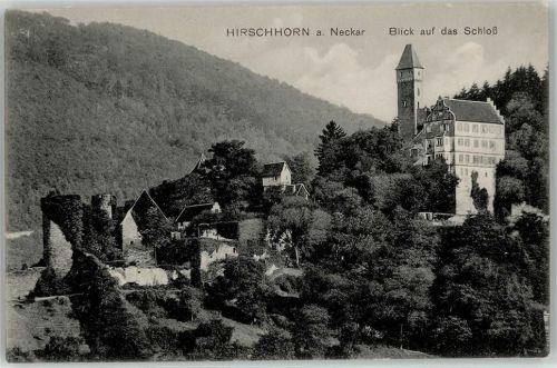 Hirschhorn Schloss