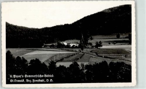 8762 Sankt Oswald