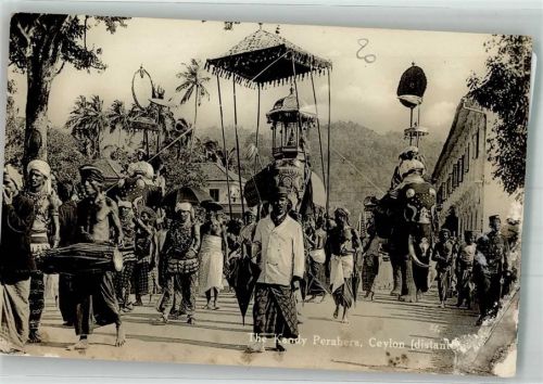 Kandy Tracht Elefanten The Kandy Perahera