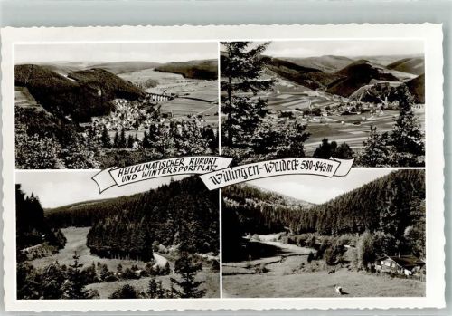 Willingen