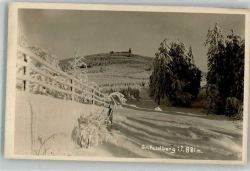 Feldberg Verschneite Tannenwälder am Fuße des Berges