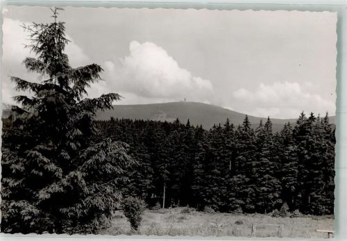 Torfhaus Brockenblick Foto Original aus Archiv eines Ansichtskartenverlages