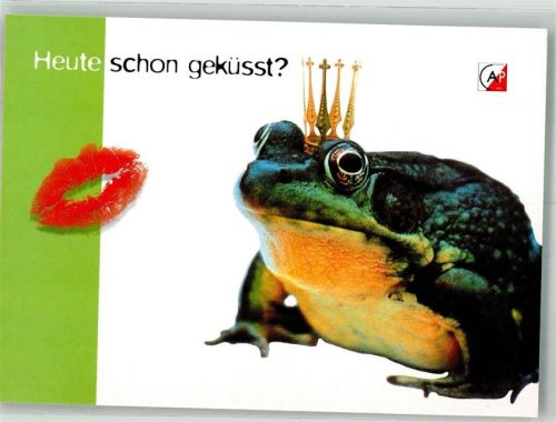 Froschkönig Heute schon geküsst?