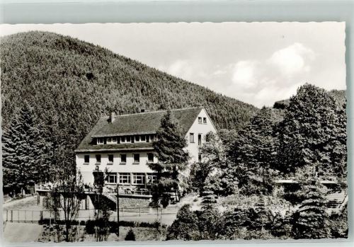 Willingen Hotel Willinger Hof