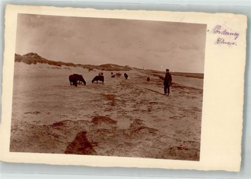 Norderney Schäfer mit seinen Schafen am Strand Ort handschriftlich