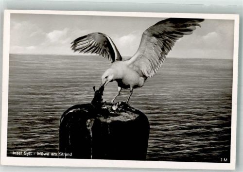Insel Sylt