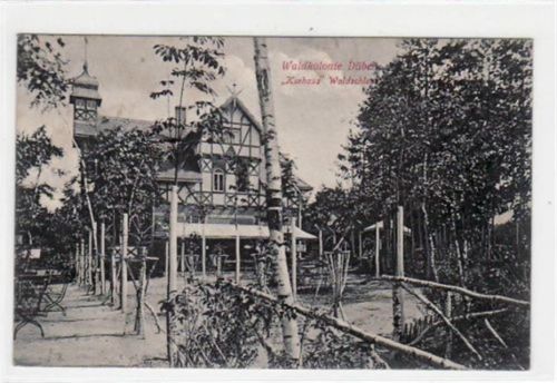 Düben Waldkolonie " Kurhaus Waldschloss " gelaufen von 1908. Leicht stockfleckig, sonst gut erhalten.