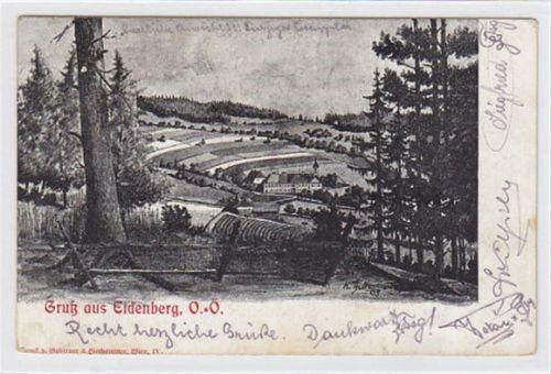 AK von Eidenberg. Totale gelaufen am 01.02.1921. Leichte bräunliche Flecken auf der Vorder- und Rückseite, leichte Eckabschürfungen, sonst gut erhalten. PLZ 4201.
