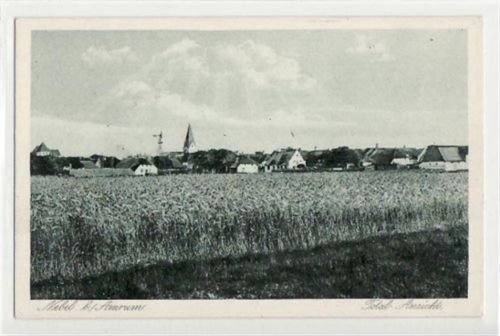 Amrum Nebel a. Amrum mit Total - Ansicht ungelaufen Gute Erhaltung.